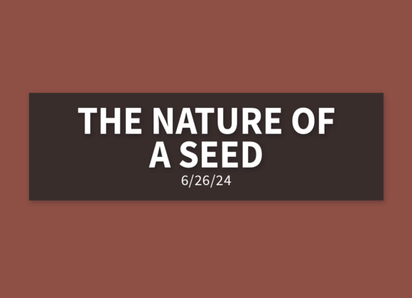 The Nature of a Seed [Rebroadcast] | Wednesday, June 26, 2024 | Gary Zamora