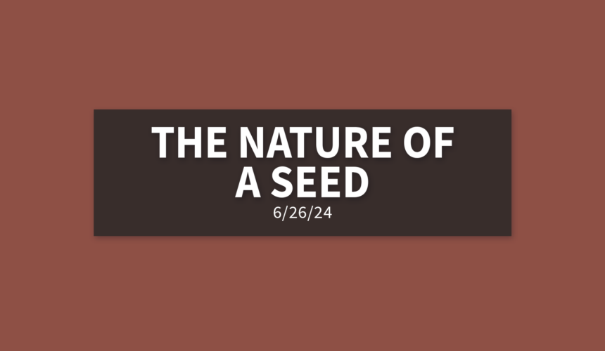 The Nature of a Seed [Rebroadcast] | Wednesday, June 26, 2024 | Gary Zamora